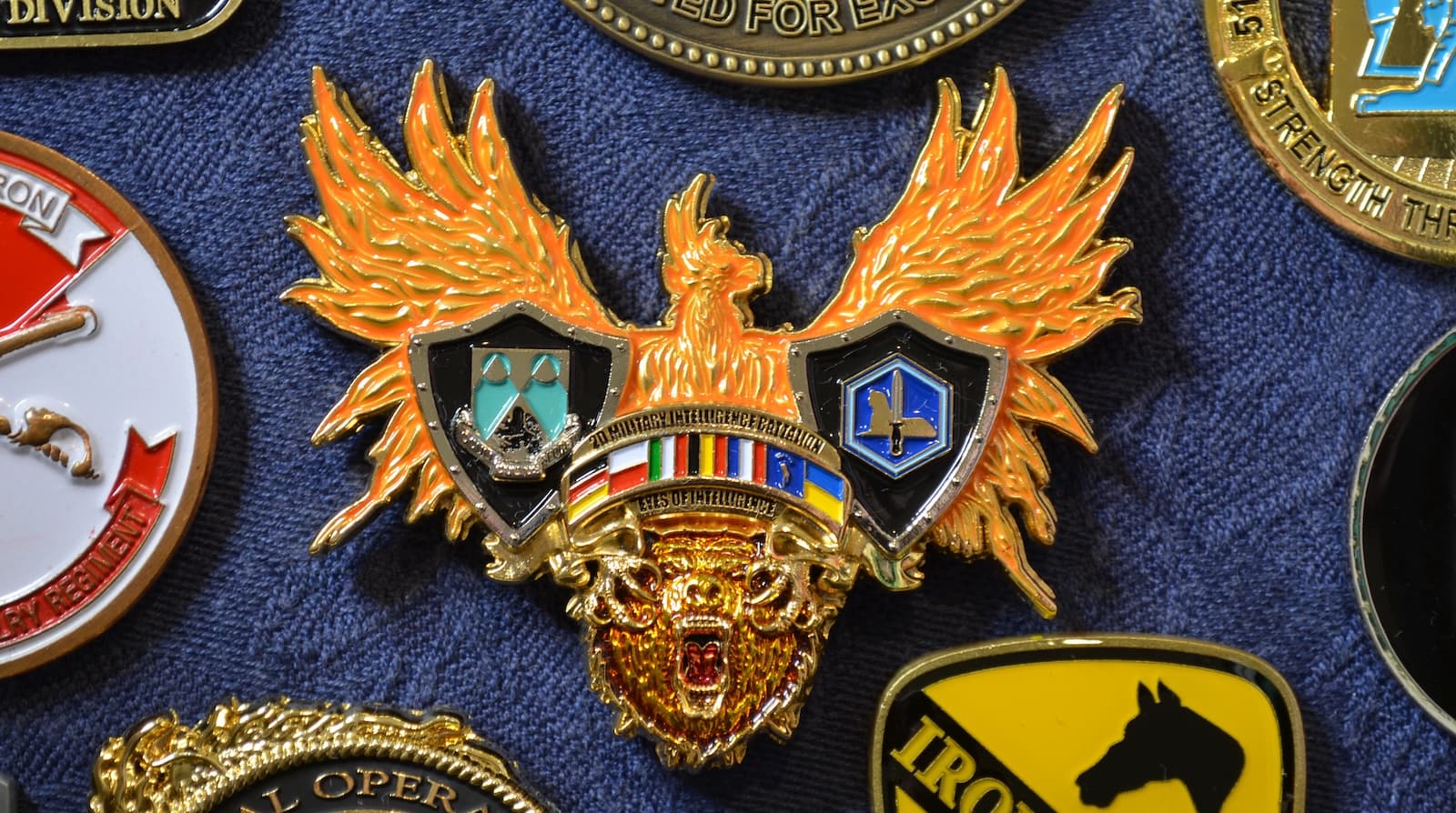 A featured challenge coin surrounded by others, representing memory and lineage.